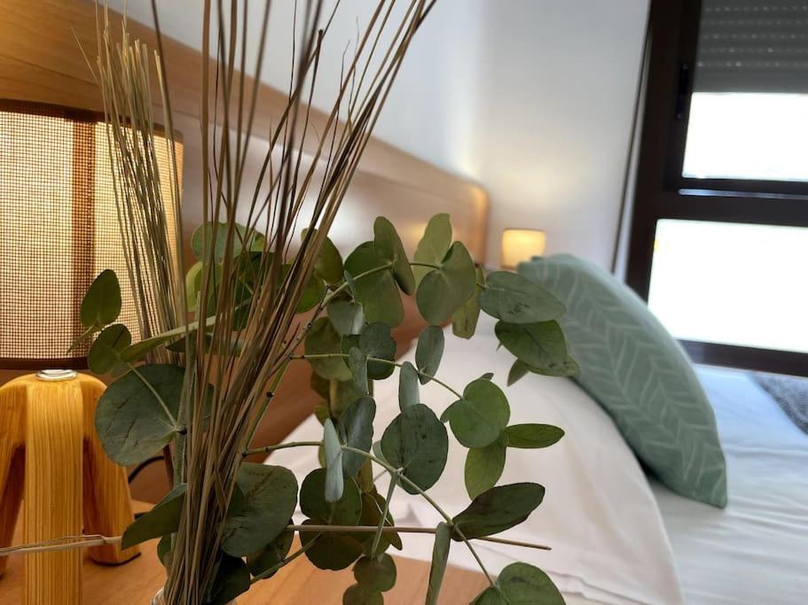 Taima Flats 3 Apartment Alicante Ngoại thất bức ảnh